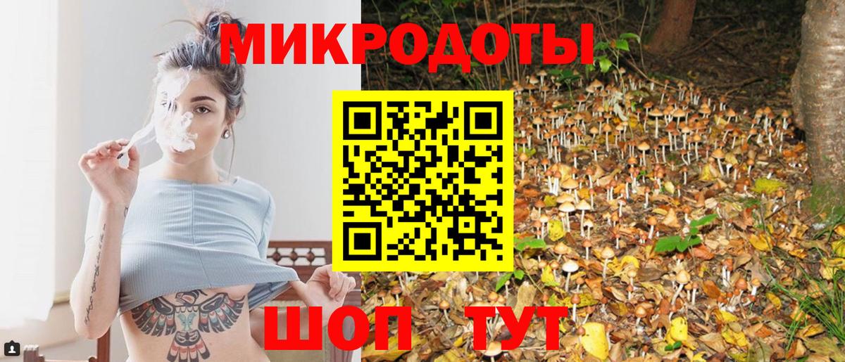 Галлюциногенные грибы Psilocybine cubensis  Вход с VPN  Кашира 