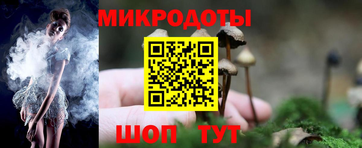 Псилоцибиновые грибы ЛСД Кашира